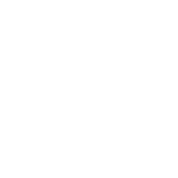 INSPECTIONS