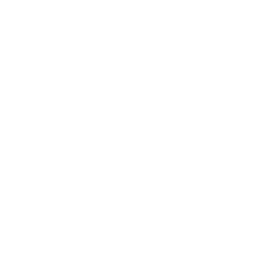 SEPTIC ROOT REMOVAL
